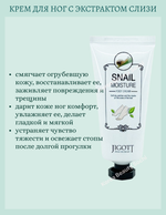 Набор с экстрактом слизи улитки (крем для ног 100 ml + крем для рук 100 ml) Jigott Snail Real Moisture Hand & Foot Cream Set