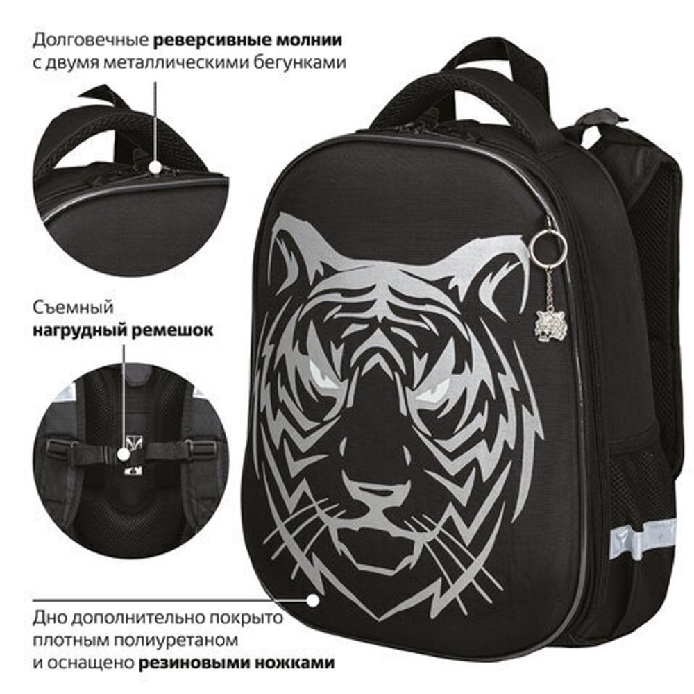 Ранец BRAUBERG SHINY, 2 отделения, "Tiger", СВЕТЯЩИЙСЯ РИСУНОК, 36х28х14 см, 270698