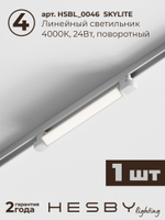 Комплект трековый Hesby Lighting Skylite No5 HSBL_kompl_S005_VI2W4K