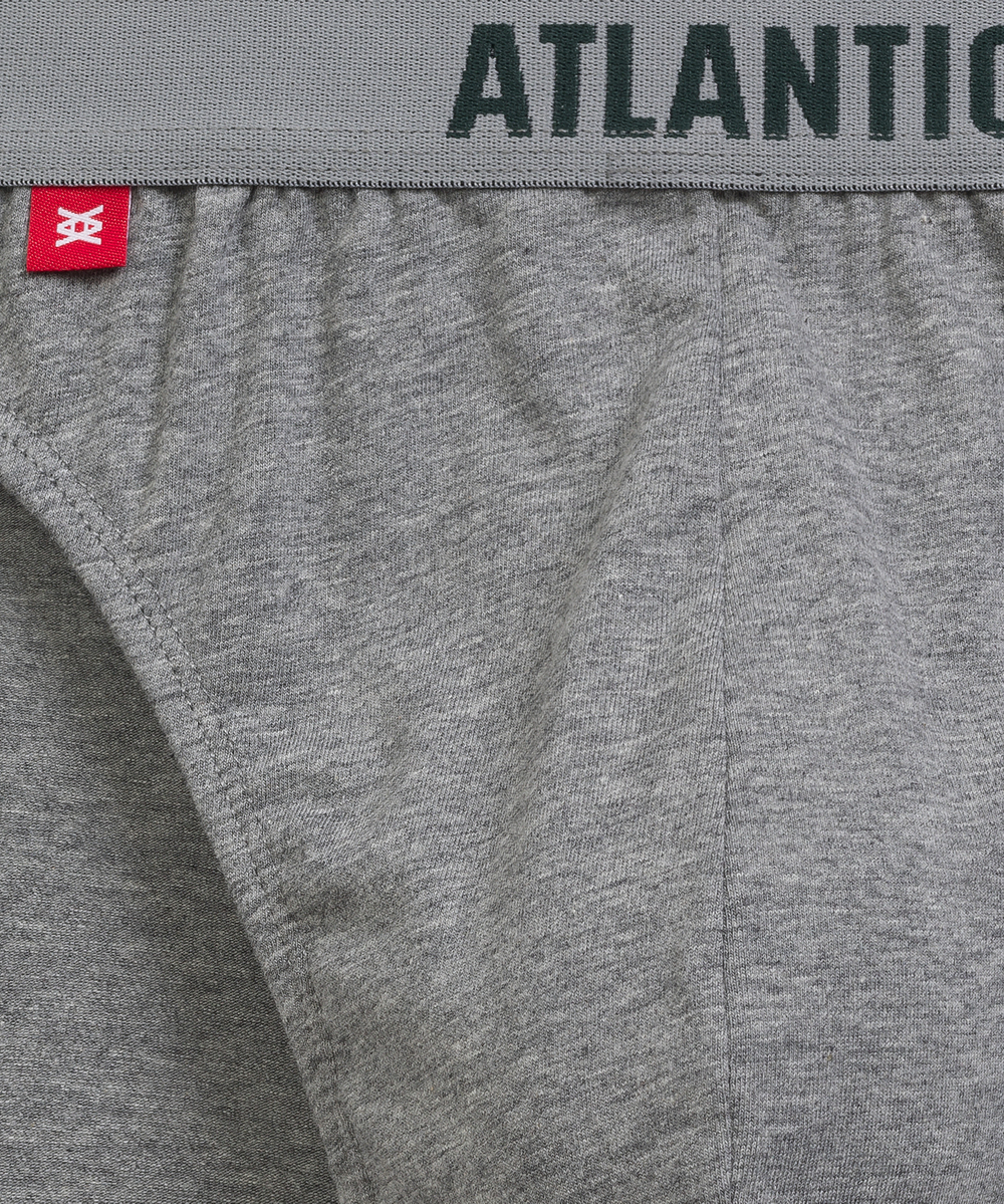 Мужские трусы слипы спорт Atlantic, набор 5 шт., хлопок, каберне + серый меланж + изумрудные + черные + темно-голубые, 5SMP-004