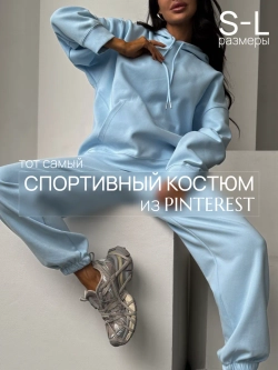 Спортивный костюм весенний без начеса с худи