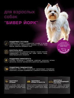 Корм сухой для взрослых собак породы Бивер Йорк, с говядиной, 800 гр, QUATTRO