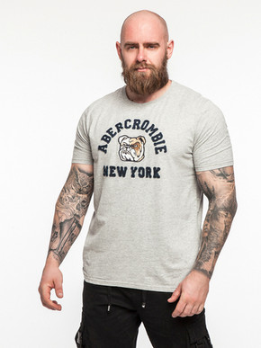 Футболка Abercrombie & Fitch ABF10