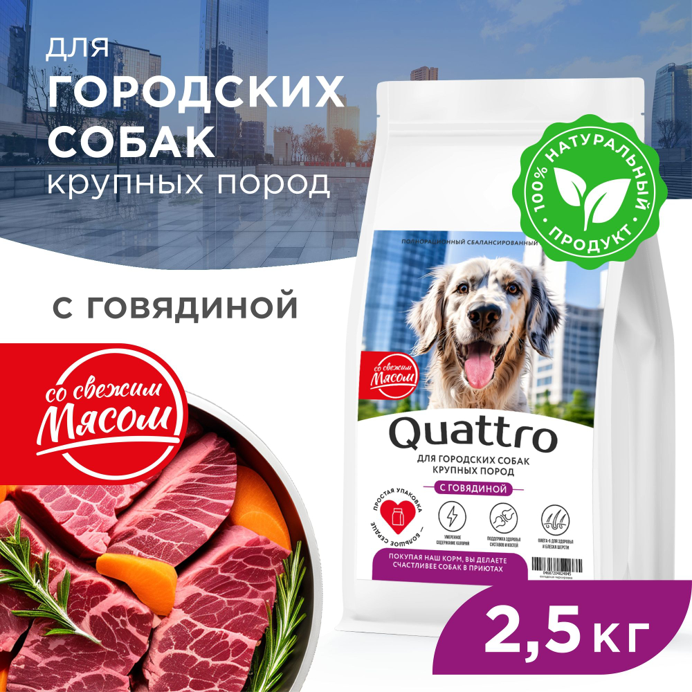 Корм сухой для взрослых собак крупных пород, премиум полнорационный комплекс, для городских собак, с говядиной, 2,5 кг, QUATTRO