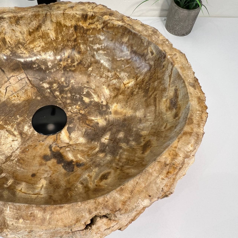 Раковина из окаменелого дерева ПАРА! OD-66941 53x42x15 из натурального камня