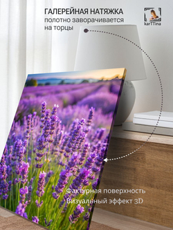 Картина Полевые цветы на стену 50x70см 1шт.