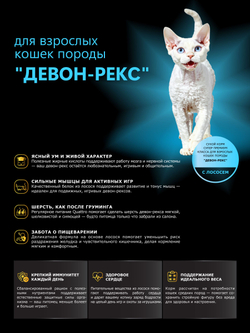 Корм сухой для взрослых кошек породы Девон-рекс, с лососем, 5 кг, QUATTRO