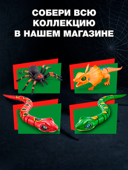 Интерактивная игрушка для купания ZURU ROBO ALIVE JUNIOR Рыбка для ванной, игрушки для девочек и мальчиков, 25253