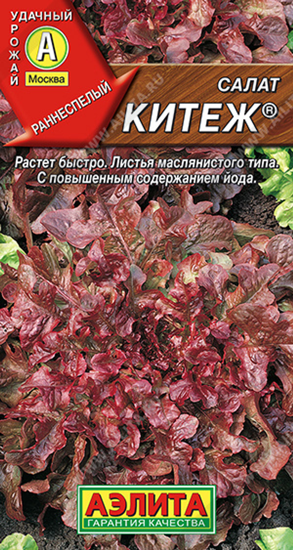 Салат Китеж листовой ®,     0,5 г