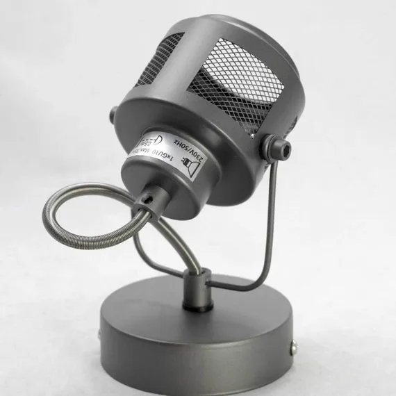 Спот Хайнес SY5408 Lussole