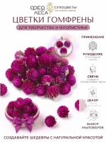 Гомфрена цветки для творчества и декора