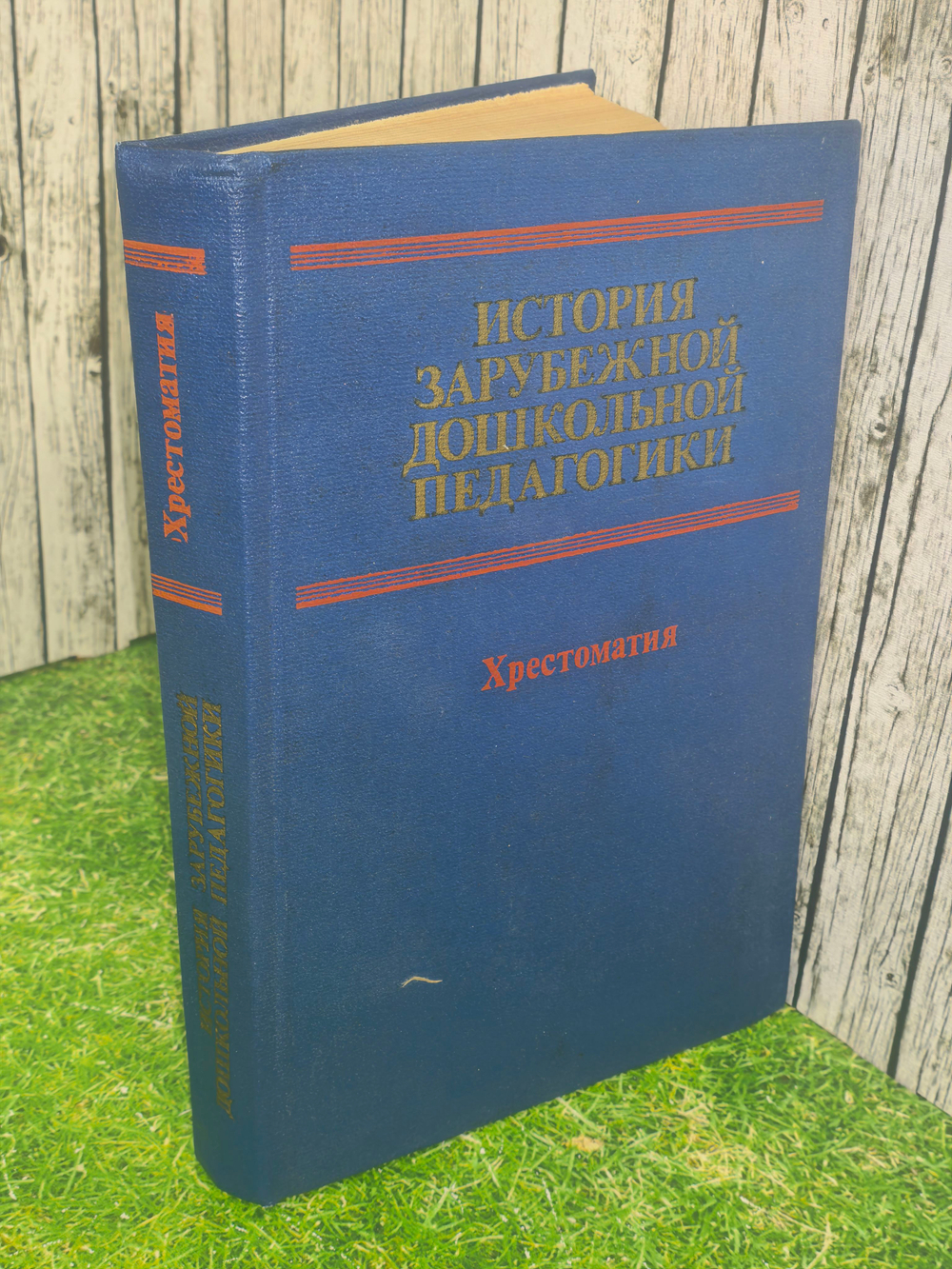 Книга "История зарубежной дошкольной педагогики"