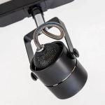Citilux Ринг CL525T11 Трековый светильник Чёрный