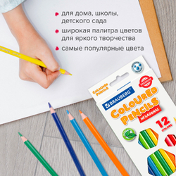 Карандаши цветные BRAUBERG PREMIUM, 12 цветов, пластиковые, шестигранные, грифель 3 мм, 181666