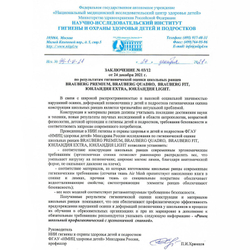 Ранец BRAUBERG PREMIUM, 2 отделения, с брелком, "Venomous spider", 3D панель, 38х29х16 см, 271355