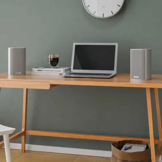 Piega Ace 30 Wireless RX Black