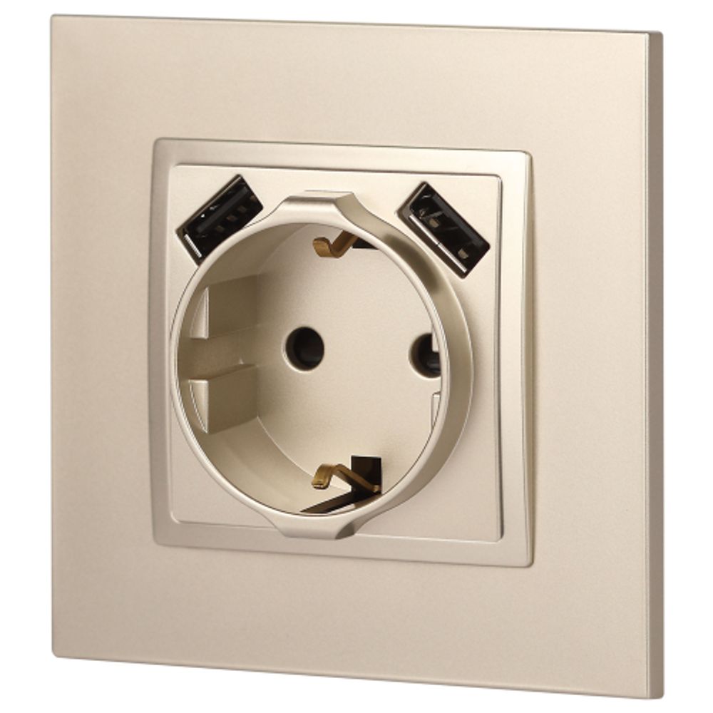 Розетка ЭРА Elegance 14-4109-04 2P+E 16A-250В штор. с 2xUSB 5В-3А шампань | Эра Elegance