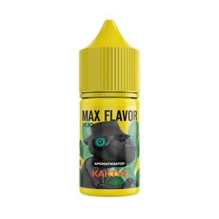 Купить Ароматизатор VLIQ Max Flavor 14 мл - Кактус