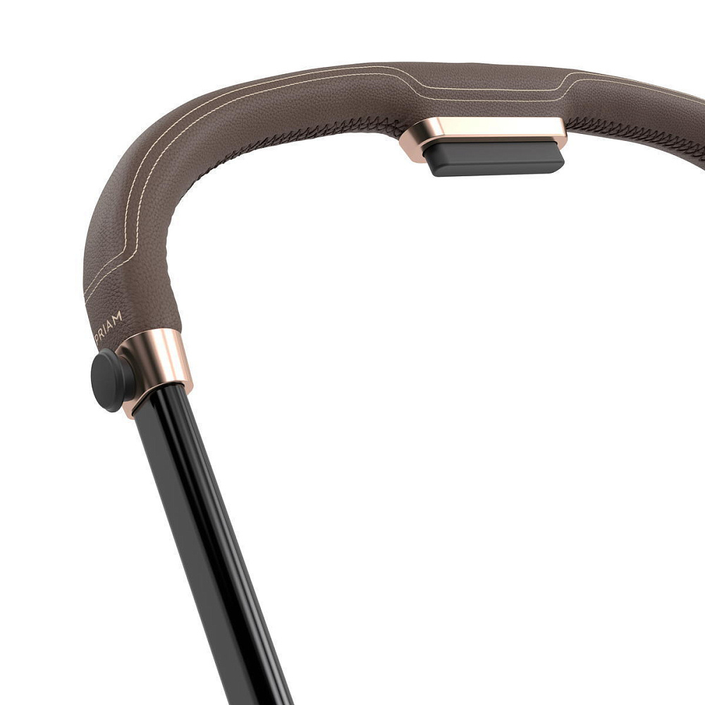 Коляска 3 в 1 Cybex Priam IV Rosegold complete и автокресло Cloud T i-Size Cozy Beige Plus Cozy Beige