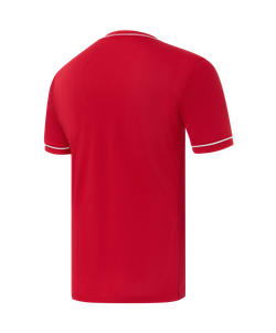 Футболка игровая Jogel DIVISION PerFormDRY Element Jersey 26, красный R2