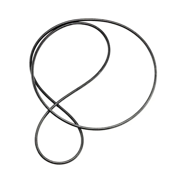 EAT Drive belt Fortissimo - Forte
