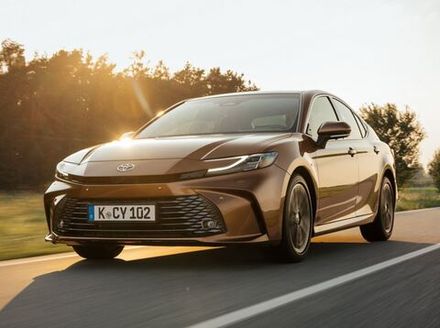 #V80 (2024-2026)