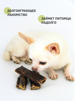 Мясо пищевода (пикало малое) — лакомство для собак, 6шт по 12.5 см