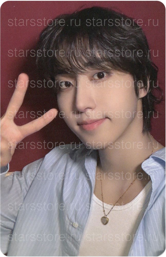 Фотокарта Han STRAY KIDS - THIS &amp; THAT (DEAR MY MUSE)