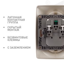 Розетка ЭРА Серия 12 12-2106-04 двойная с заземлением 2X2P+E Schuko 16A-250В IP20 шампань | Эра 12