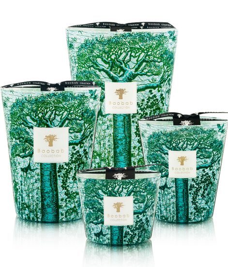 Kamalo, свеча MAX 24 Sacred Trees collection, Baobab Collection