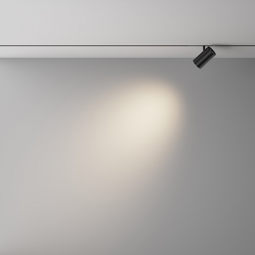 Светильник на штанге Maytoni Technical Focus Led TR243-12W4K-B