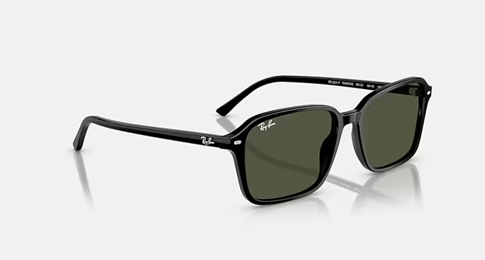 RAY-BAN RAIMOND RB2231-F 901/31