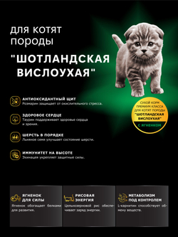 Корм сухой для котят породы Шотландская вислоухая, с ягненком, 2кг, QUATTRO