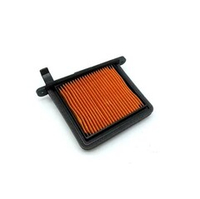 Triumph Фильтр воздушный RHS T2206531