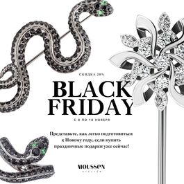 Black Friday 20%