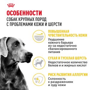 Сухой корм Royal Canin Maxi Dermacomfort для взрослых собак крупных размеров при раздражениях и зуде кожи