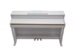 Pierre Cesar DP-500-H