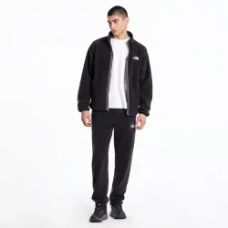 Куртка утепленная мужская THE NORTH FACE MEN’S TNF FLEESKI FZ JACKET