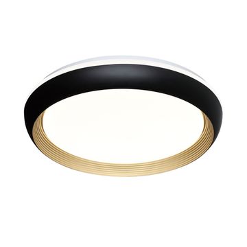 Настенно-потолочный светильник 76W 3000-6000K 7651/ELN черный/золотой PALE TOFIQ BLACK Sonex