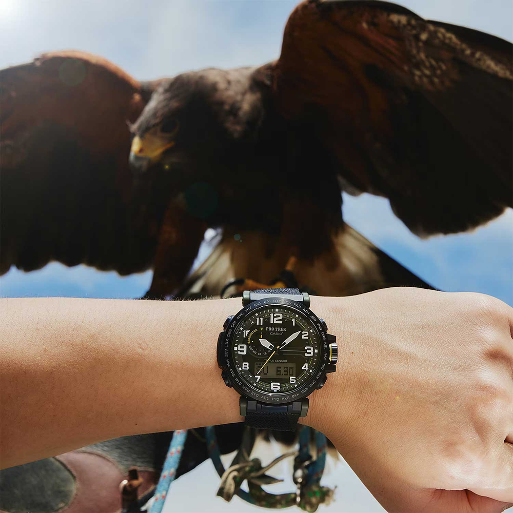 Часы Casio PRG-601YB-3