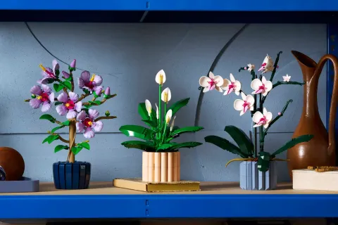 Конструктор LEGO Botanical Collection 11504 Peace Lily