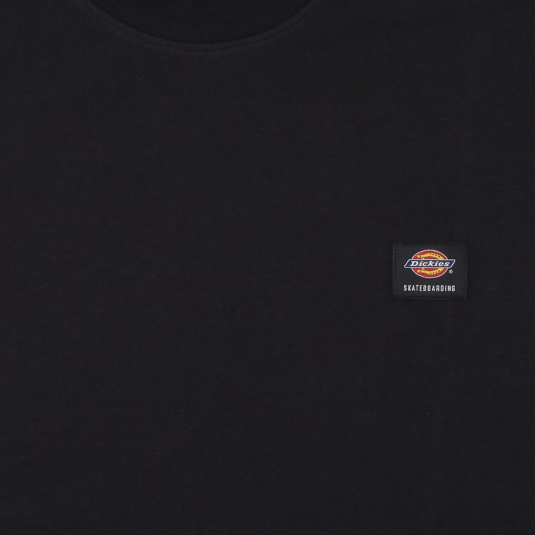 Футболка мужская Dickies Skateboarding Mount Vista Shirt артикул:WSSK6_black - купить в магазине Дайс