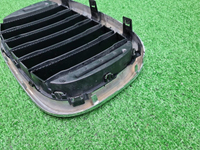 Решетка радиатора левая BMW X3 G01 X4 G02 (17-21)