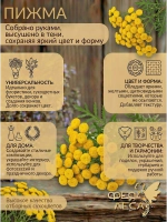 Пижма соцветия: для свечей, магии и здоровья