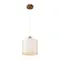 Подвесной светильник Dreamy FR5265PL-01BS Freya