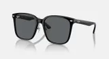 RAY-BAN RB2206D 901/87