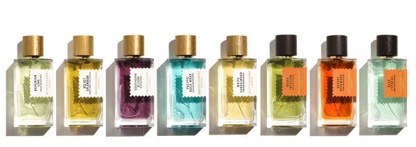 Goldfield and Banks Australia White Sandalwood