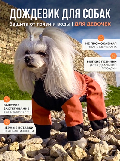Комбинезон-дождевик для собак (девочка) оранжевый