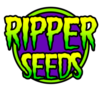 Ripper Haze fem
