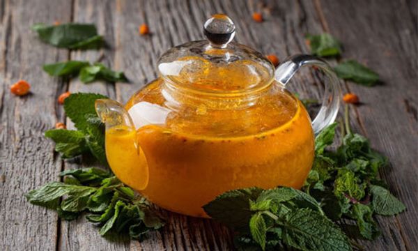 Рецепт облепихового чая - как приготовить вкусный напиток в домашних условиях Рецепт облепихового чая - как приготовить вкусный напиток в домашних условиях